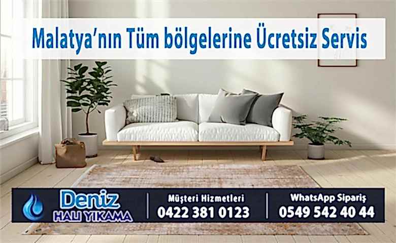 Ataköy Mahallesi Halı Yıkama